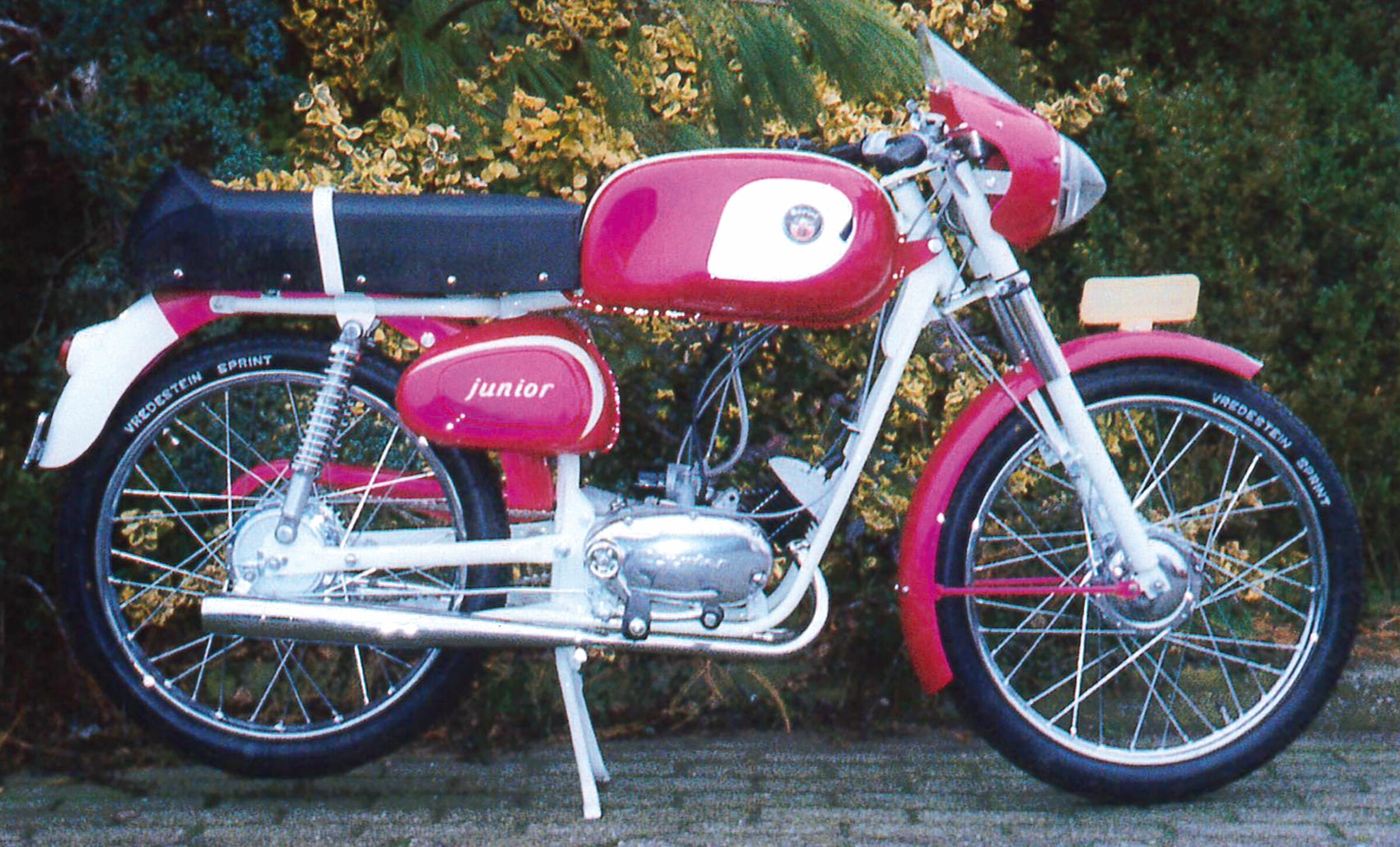 Berini junior 1