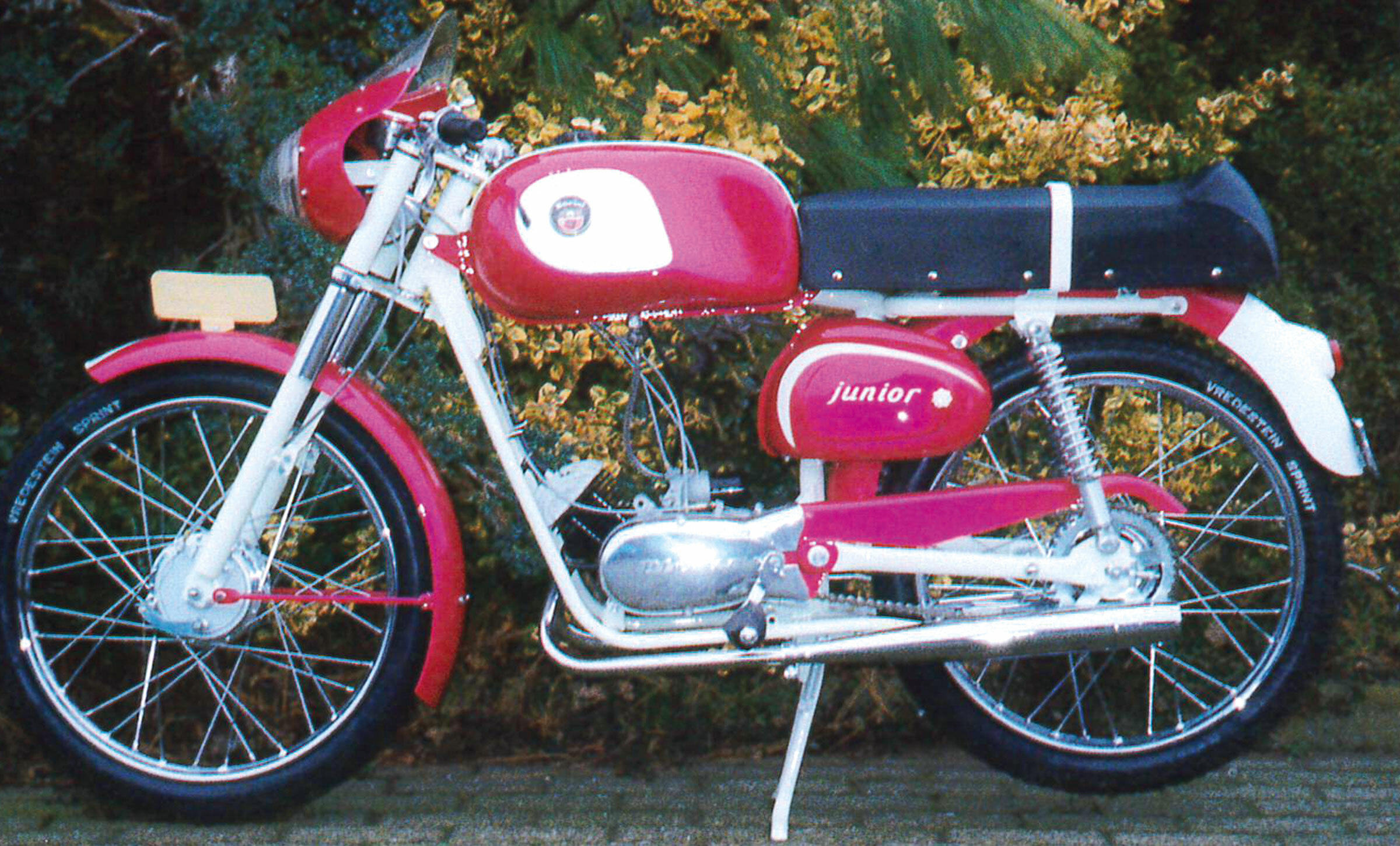 Berini junior 2