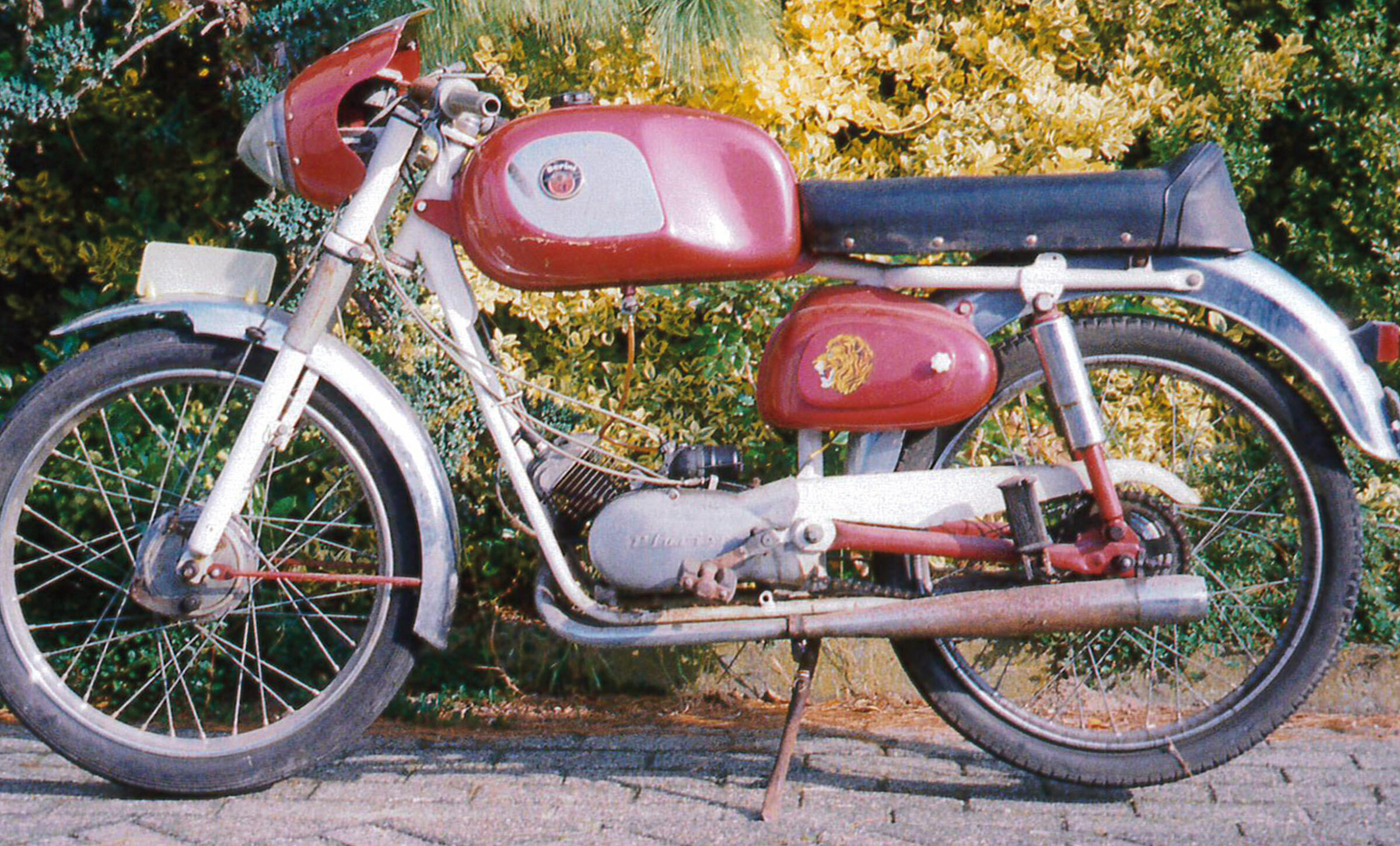 Berini junior 3